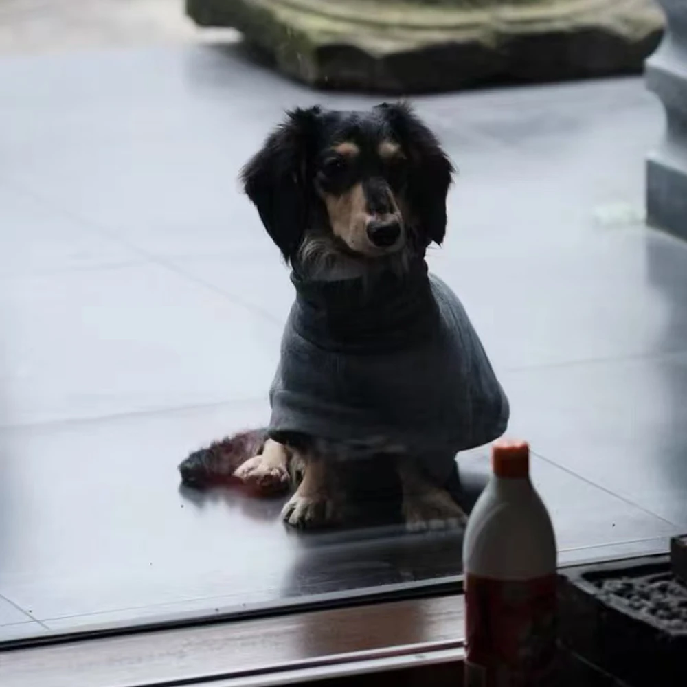 Suéter gris de moda para perros salchicha, sudadera cálida de manga corta para perros Wiener, abrigo suave para perros salchicha en invierno - imagen 3
