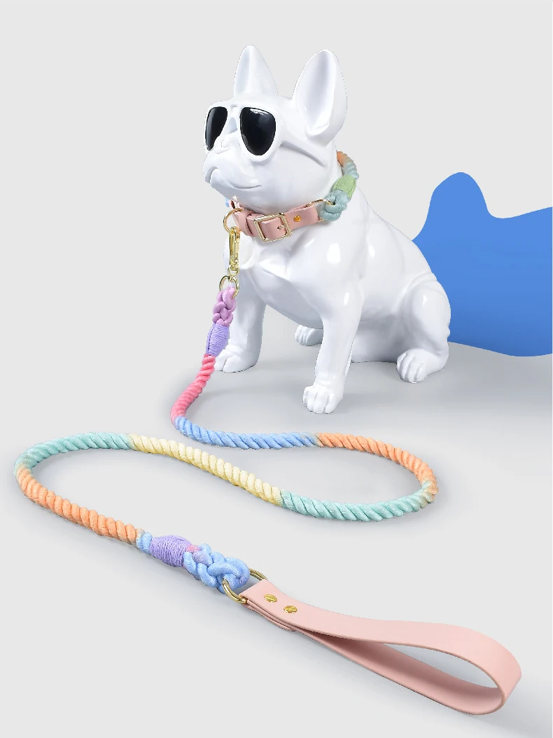 Correa colorida - Diseño vibrante y moderno