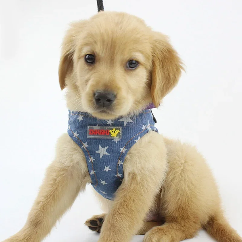 Chaleco vaquero para perro, conjunto de Correa y arnés para perros medianos y pequeños, pantalones vaqueros para gatos, correa para el pecho de estrellas, Chihuahua, Pug, suministros para Mascotas y Cachorros