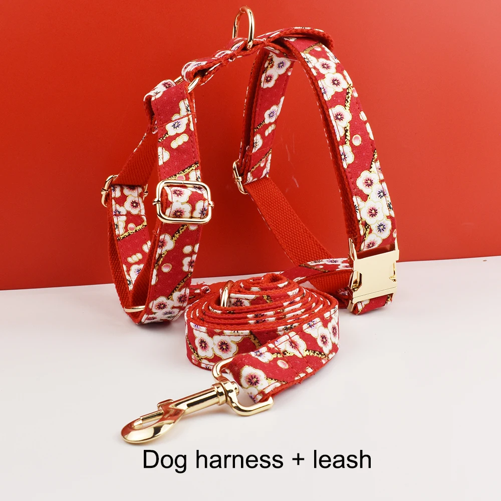 Harness leash