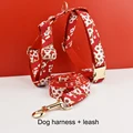 Harness leash