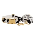collar and leash set