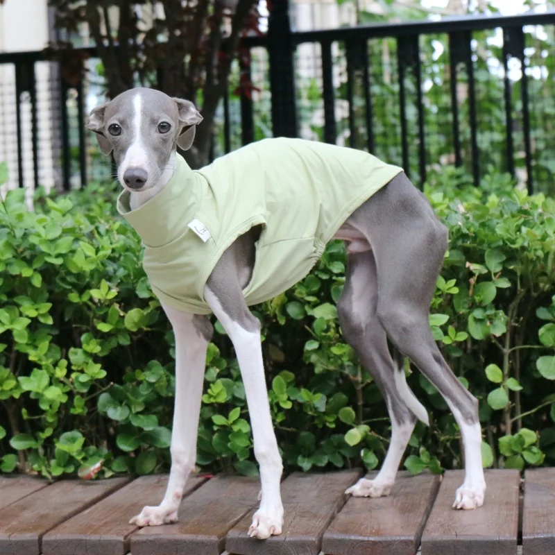 Pet Poodle Purple Sun Vest Summer Cool Camiseta para Galgo Italiano Mono Suave Color Sólido Verde Gris Claro para Wellington