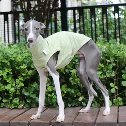 Camiseta verano para Galgo Italiano – Mono suave verdegris
