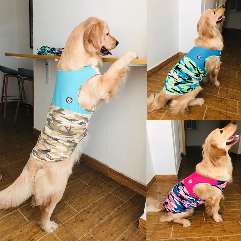 Un collage de cuatro fotografías que muestran a un perro golden retriever vistiendo diferentes tipos de ropa. En cada foto, el perro está parado sobre un piso de madera y el fondo incluye una pared blanca y se vislumbra una habitación con una silla y una mesa.