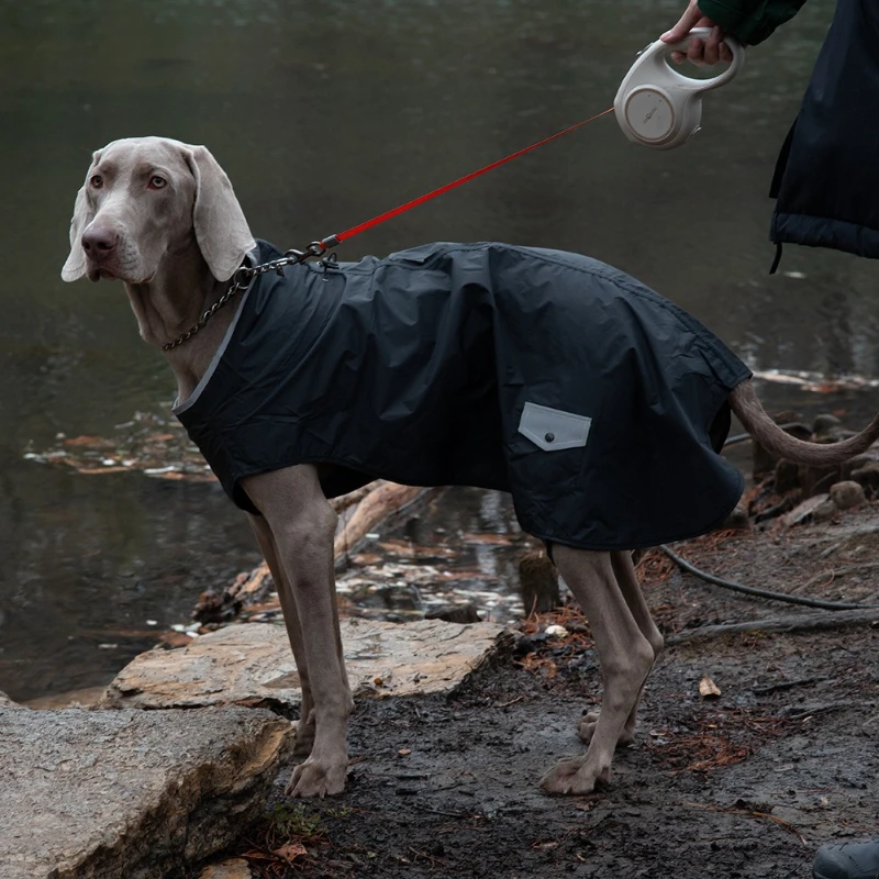 Ropa impermeable para perros a prueba de viento, ropa para perros con bolsillos para perros grandes, disfraces resistentes a la suciedad, chaqueta, suministros impermeables para mascotas - imagen 2