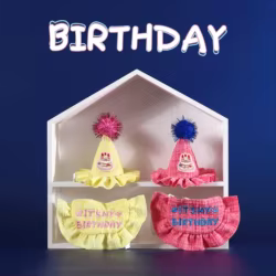 Kit fiesta cumpleaños para mascotas con babero y sombrero bordado