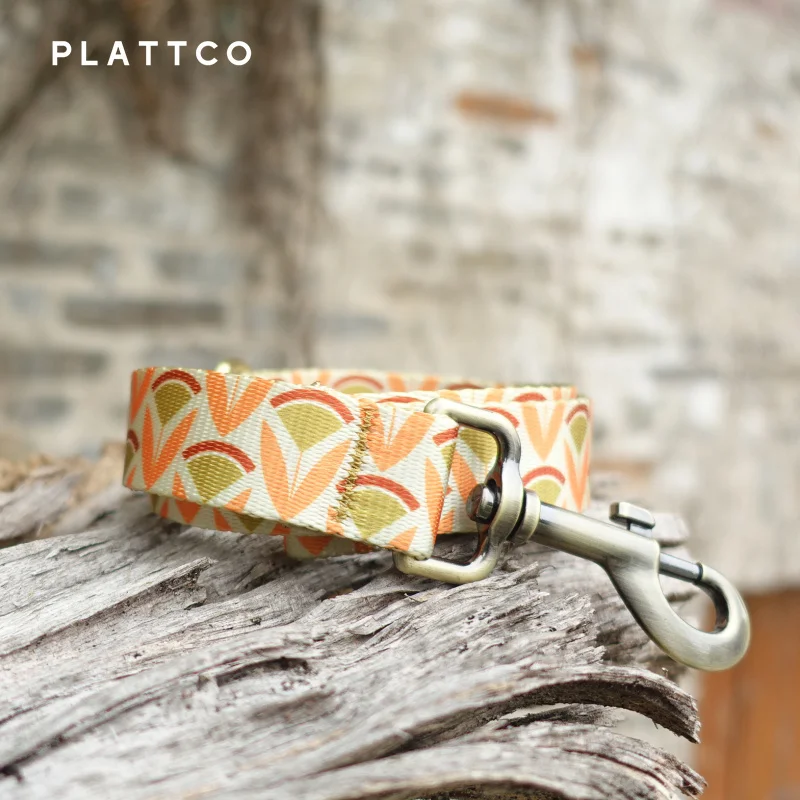 PLATTCO, correa para perro con patrón de moda, correa de nailon estampada para mascotas, cuerda para perros pequeños y medianos, correas suaves para caminar para mascotas PDL352 - imagen 5