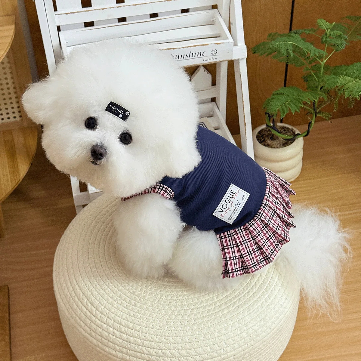 Ropa camisa con falda otoño invierno para perros pequeños y gatos