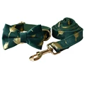 Bow Collar Leash Set