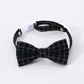 Black Bowknot