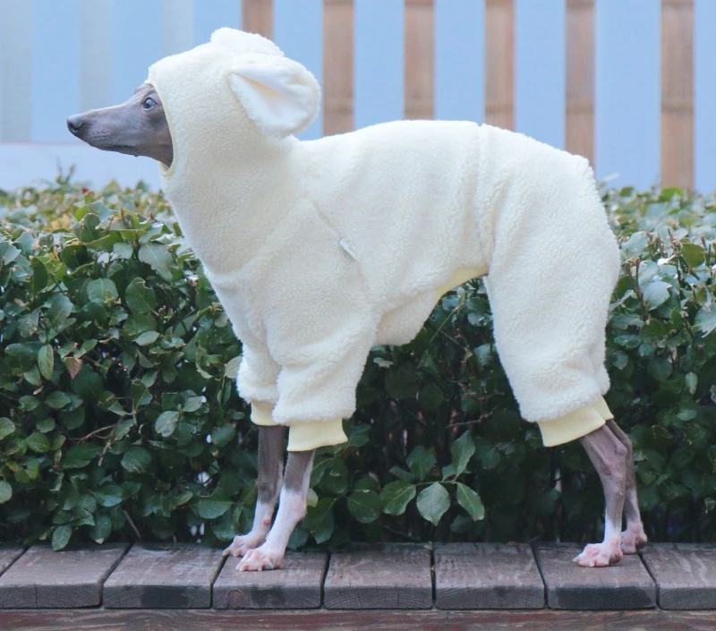 Monos grandes de diseñador de lujo para whippets