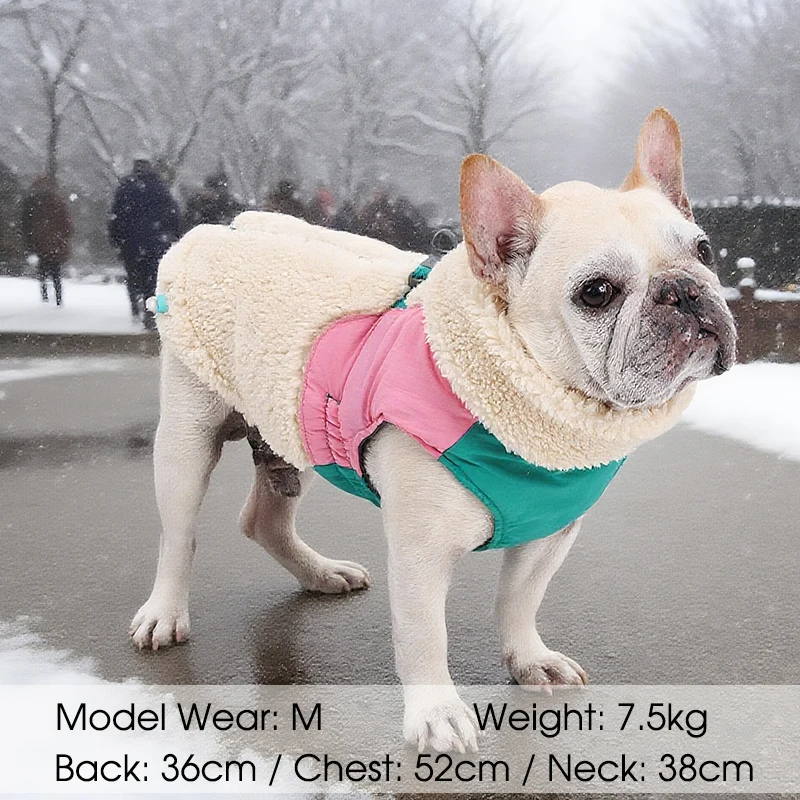 Chaqueta de invierno para perros, chaleco acolchado de lana de cordero, abrigo cálido de invierno para perros pequeños y grandes, ropa para perros con cremallera y hebilla de tracción - imagen 4