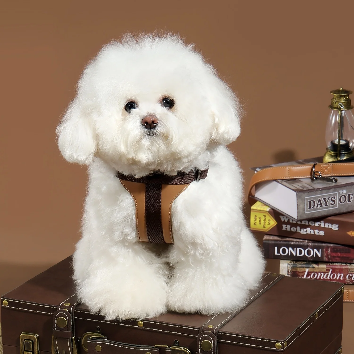 Arnés de cuero para mascotas con correa para perros pequeños a medianos Arnés de chaleco para perros suave y liviano con mochila Arnés ajustable para perros