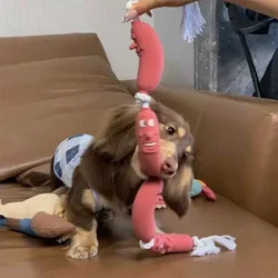 Juguete interactivo para perros - cuerda de algodón duradera