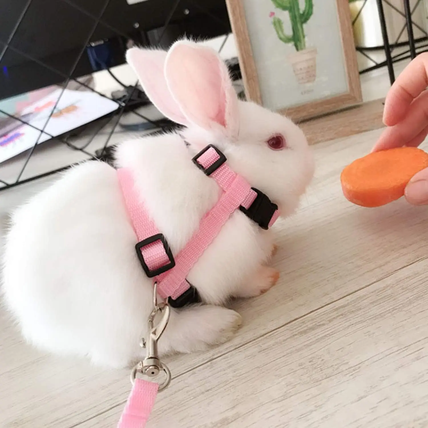 Conjunto de correa de arnés para gatos y gatitos, arnés de cuello Halter de nailon ajustable a prueba de Escape para caminar, accesorios para mascotas, cachorros y conejos - imagen 5