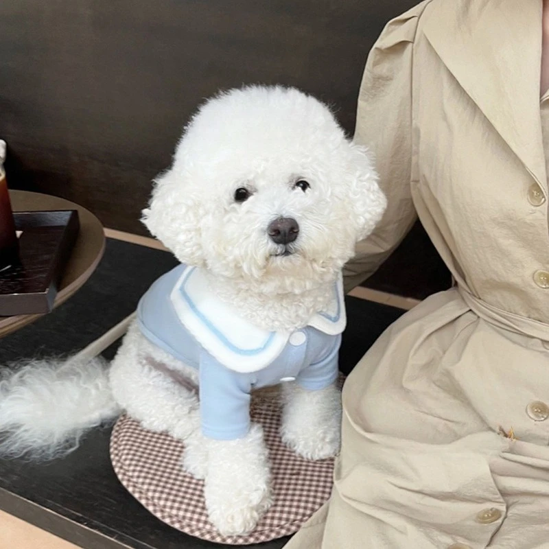 Ropa interior con capucha para otoño/invierno para mascotas, Teddy Yorkshire, ropa para perros pequeños, gatos y perros pequeños, ropa para cachorros - imagen 3