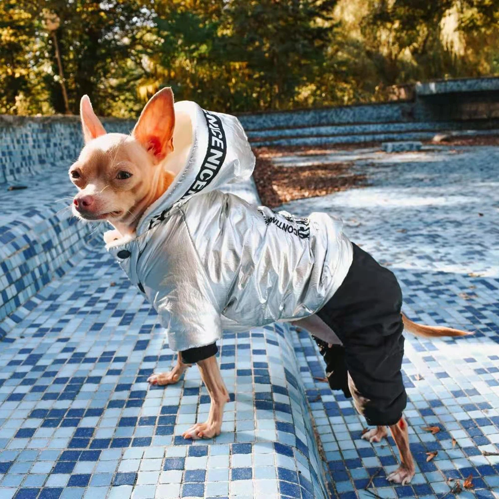 Chaqueta de plumón con forro polar para perros pequeños, ropa de cachorro plateada, traje de cuatro patas para Yorkshire, Invierno - imagen 2