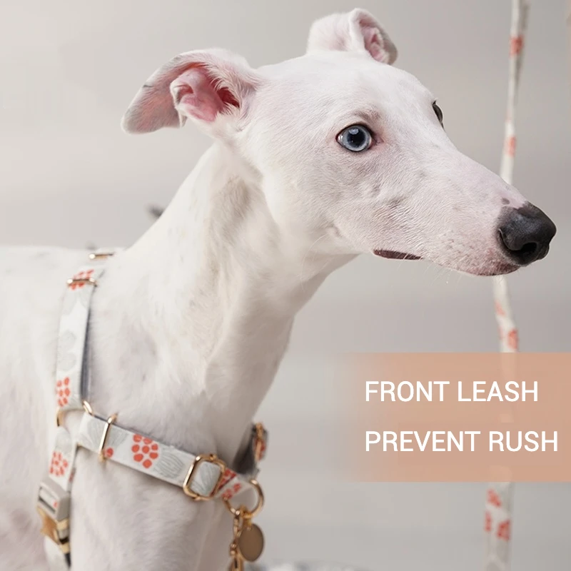 Arnés para perros a prueba de explosiones, correa para perros al aire libre, correa para caminar, suministros para mascotas antitiramiento de acceso rápido para perros pequeños - imagen 2
