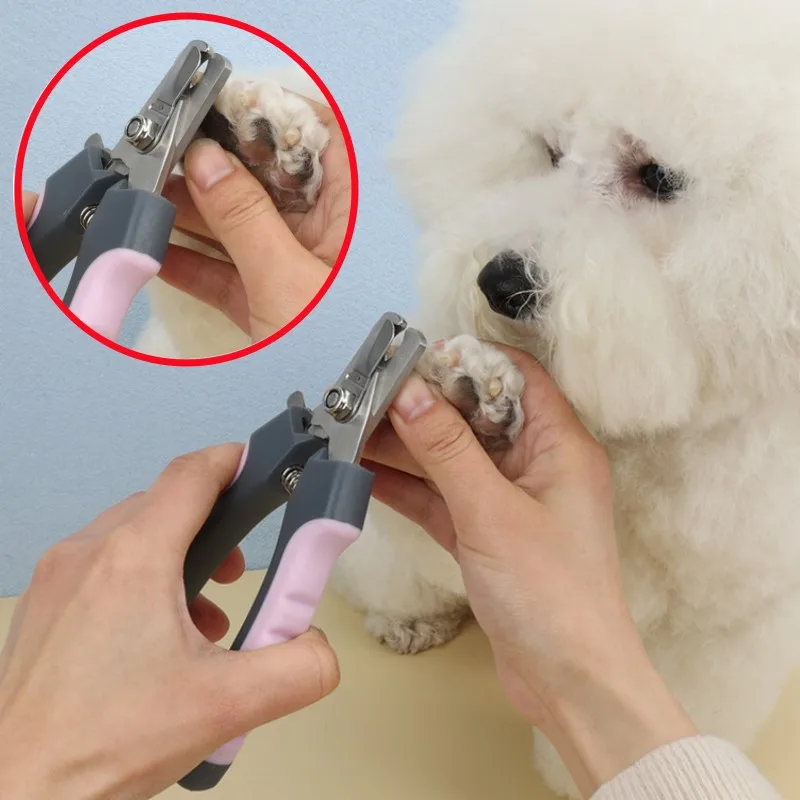 Cortaúñas Acero Inoxidable Perros Gatos Multicolor Recortador