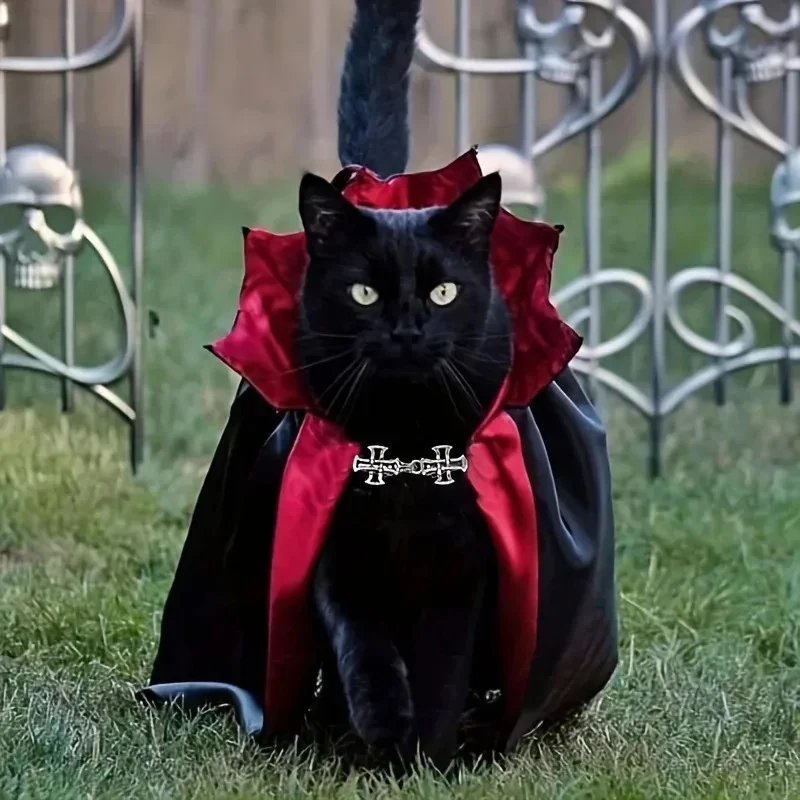 Disfraz de vampiro para gatos – Capa y sombrero de Halloween - imagen 2
