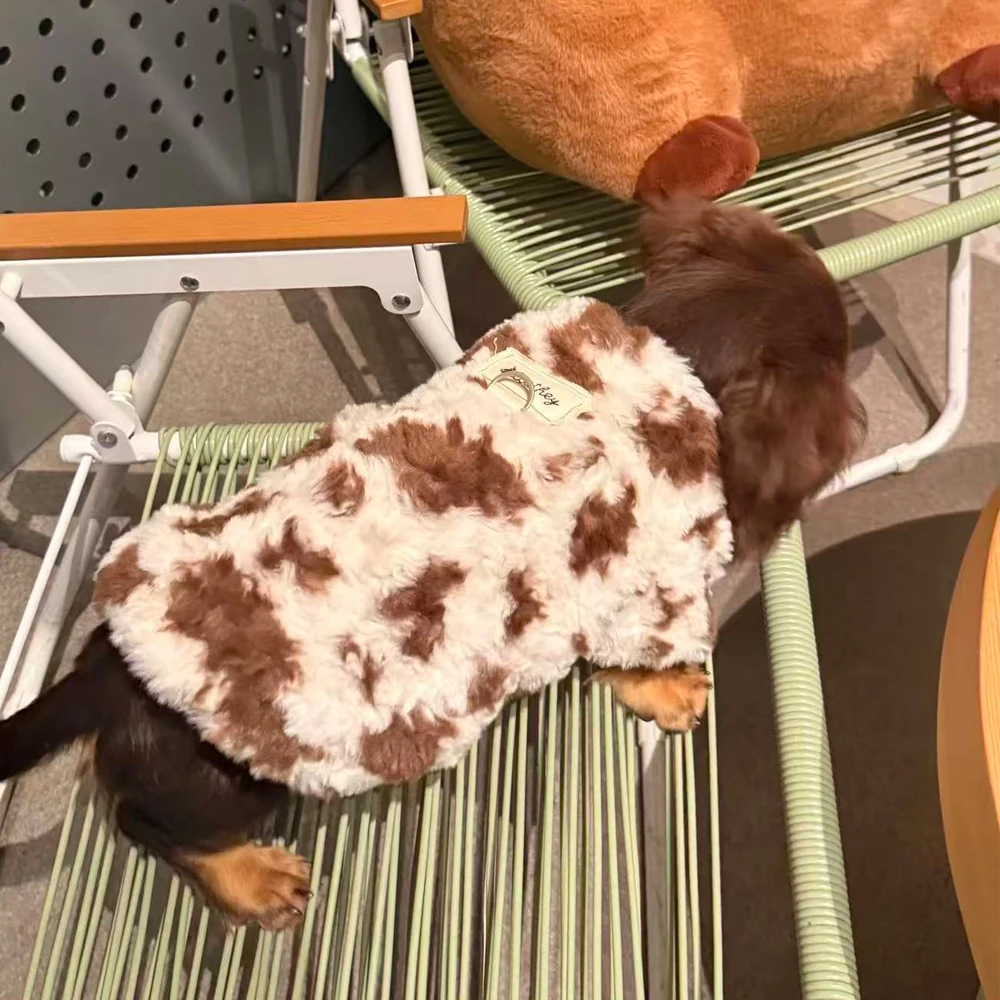 Sudadera para perro salchicha – Abrigo otoño invierno - imagen 4