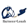 harness leash
