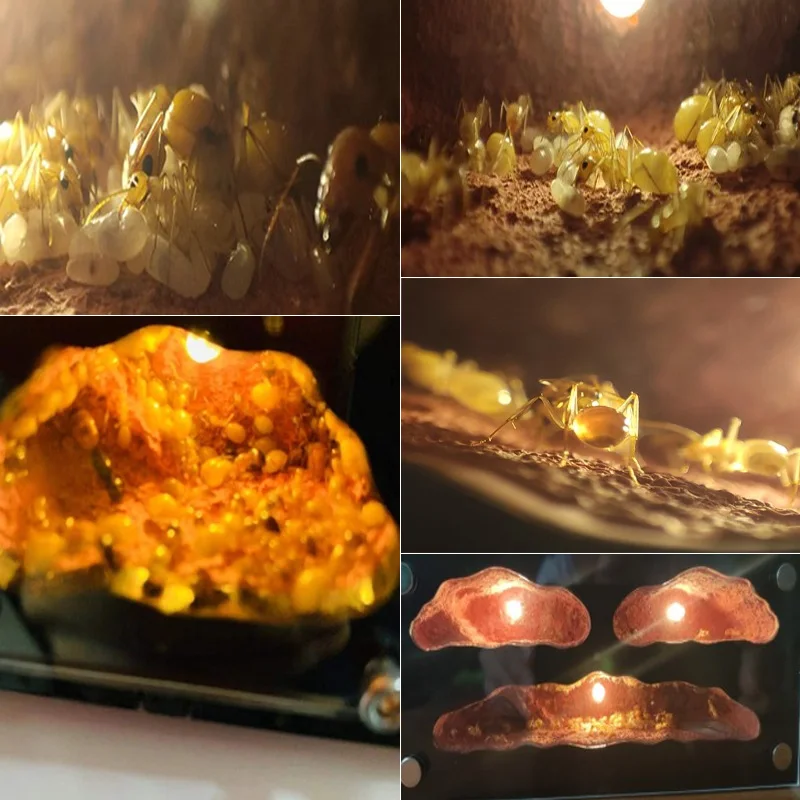 Taller - Espacio educativo