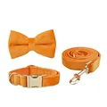 Bow Collar Leash Set