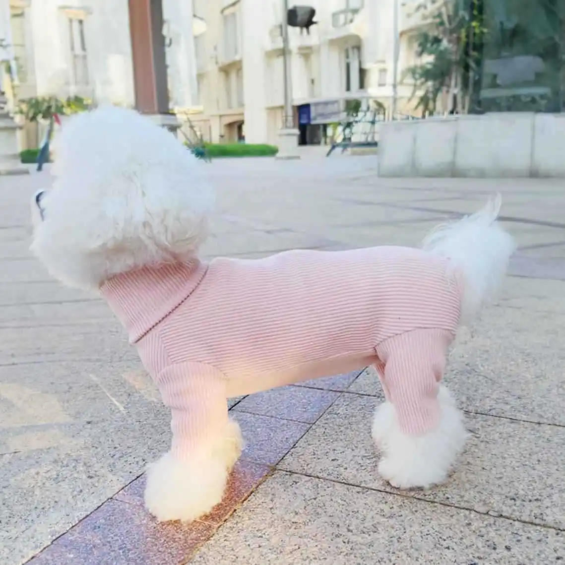 Bolsa para mascotas, mono para el vientre, suéter de oso, Schnauzer, camisa básica de cuello alto para otoño e invierno, pantalones informales de cuatro patas para cachorros - imagen 3