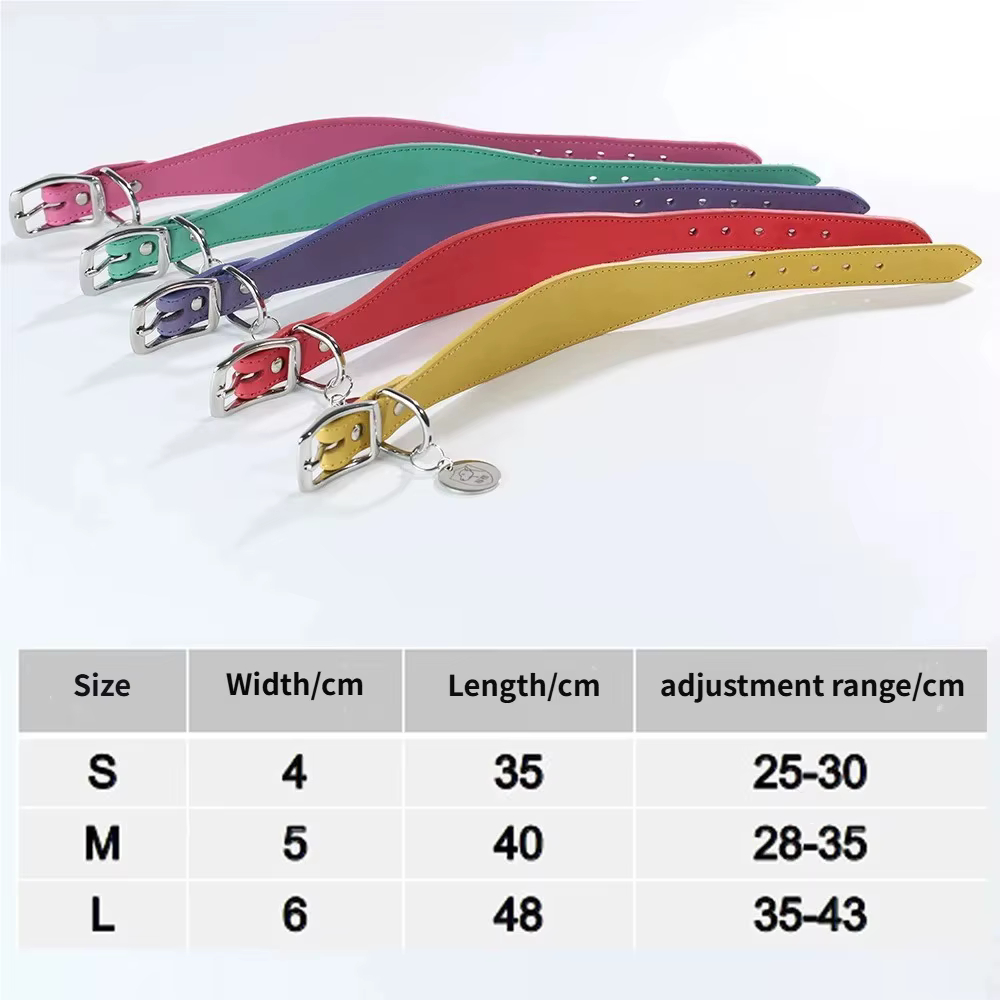 Collar ancho cónico para perros de cuello largo – Greyhound, Dachshund - imagen 2