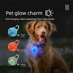 Luz LED de seguridad para perros - Colgante luminoso para pasear