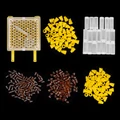 Beekeeping tool set