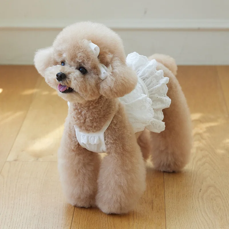 Vestidos blancos para mascotas, falda con tirantes de encaje de verano, camiseta sin mangas para perros y gatos, vestido de encaje para perros pequeños, vestidos para perros pequeños - imagen 2