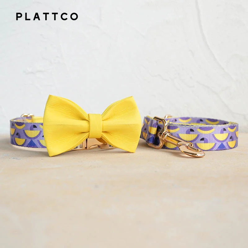 Bow Tie Collar Leash