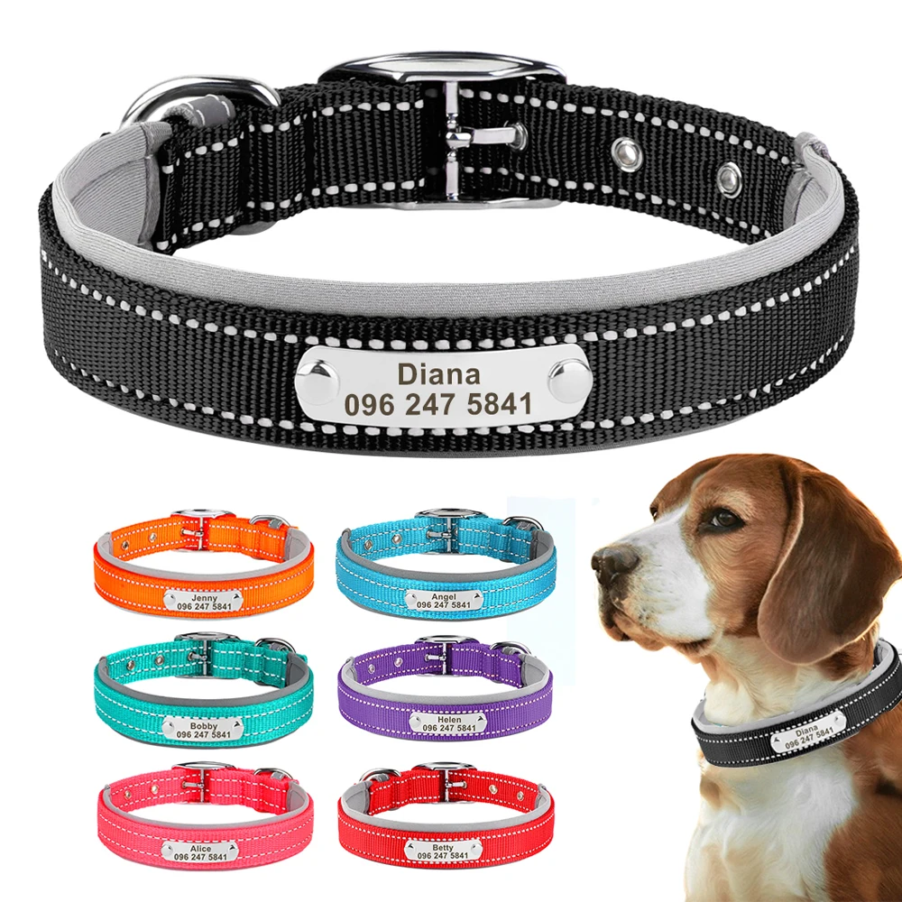 Collar nailon reflectante para perros con diseño ajustable y seguro