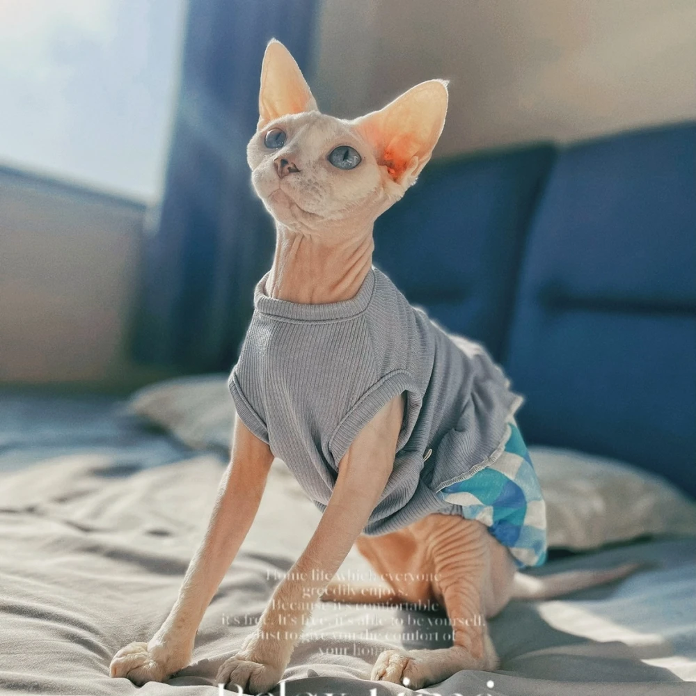 Vestido de algodón para un gato Falda de burbujas de encaje de verano para Sphynx Chaleco sin mangas suave de gato para gatitos Abrigo de cuadros dulces para Devon Rex - imagen 2