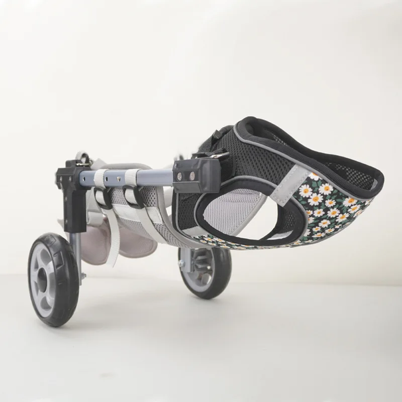 Silla de ruedas para perros y gatos – Rehabilitación patas traseras