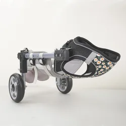 Silla de ruedas para perros y gatos – Rehabilitación patas traseras