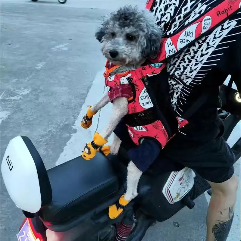 Bolsa de transporte para mascotas de lona transpirable y elegante, mochila portátil para perros, portador de pecho para Yorkshire, Chihuahua, cachorro, gato, transporte al aire libre - imagen 3