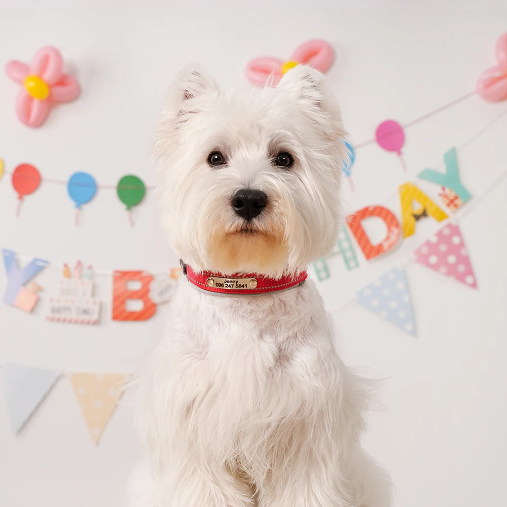 Collar de perro personalizado, collares de Navidad para cachorros, collar reflectante para fiesta de cumpleaños para mascotas, ajustable para perros pequeños, medianos y grandes, Pug - imagen 5