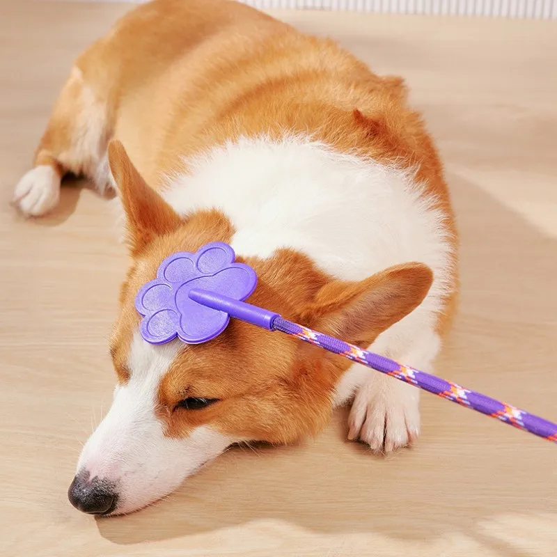 Palo de entrenamiento para perros, entrenamiento para perros, palo de entrenamiento suave para perros y cachorros, mango cómodo, palos para perros, suministros para mascotas - imagen 2