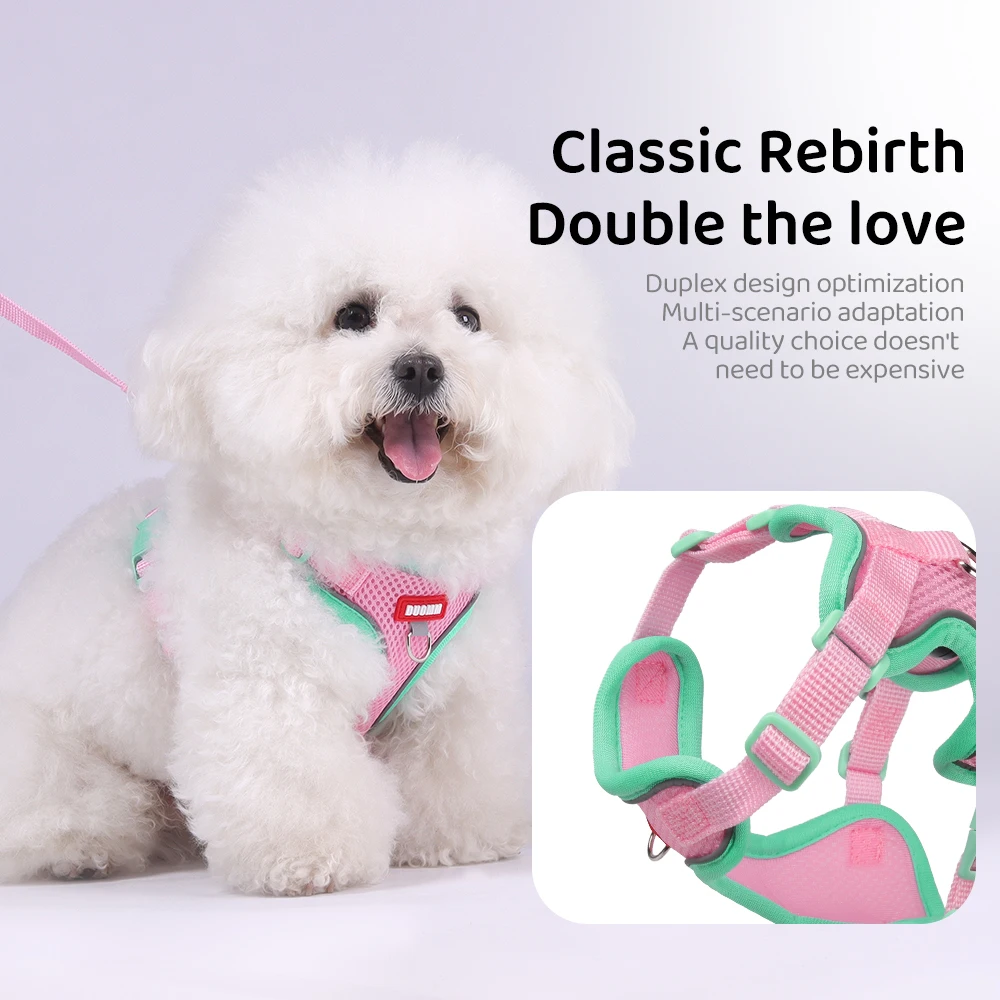 Conjunto de arnés y correa para cachorros y gatos, correas reflectantes y transpirables para el pecho para mascotas, suministros para caminar para perros pequeños y gatitos al aire libre, verano - imagen 4