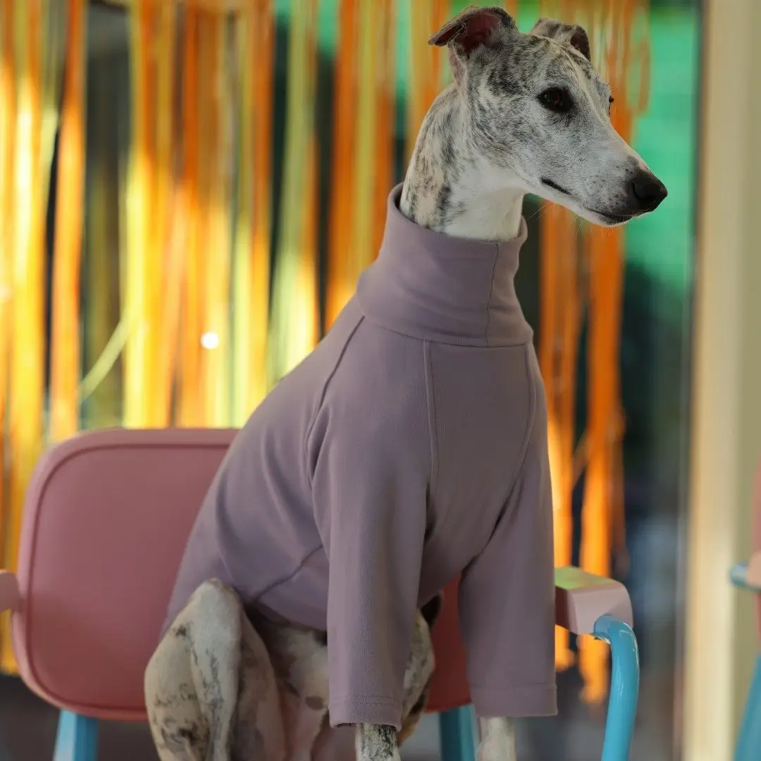 Jersey pijama para Galgo Italiano y Whippet – Primavera - imagen 4