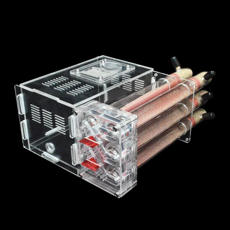 Tubos de ensayo de bambú para granja de hormigas, caja de tubos de ensayo para casa de hormigas con área de alimentación, 6 unidades - imagen 3