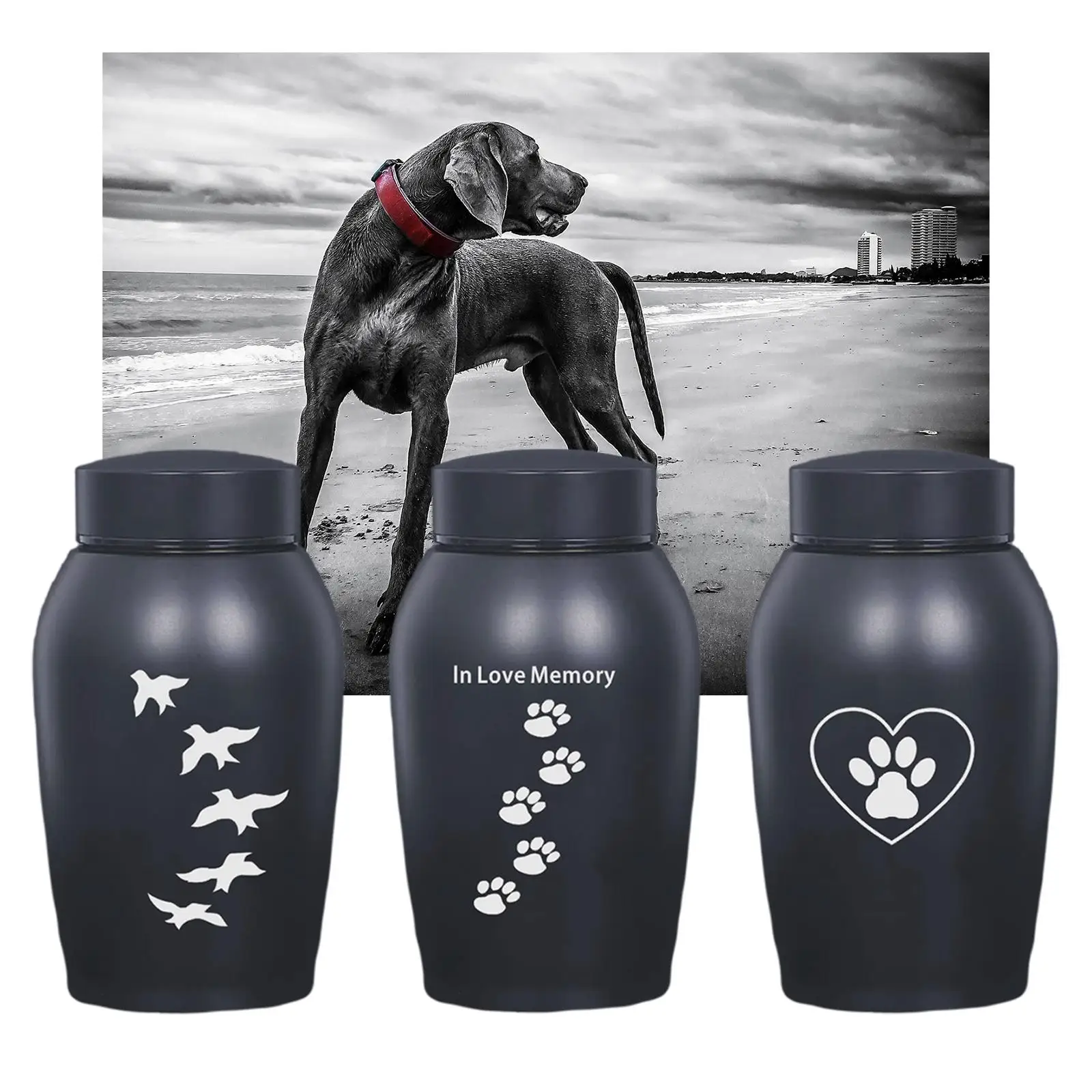 Pet Ashes Urn Burial Retain Memories Souvenir Casket Supplies Kit Stainless Steel Durable Storage Cremation Memorial Urn