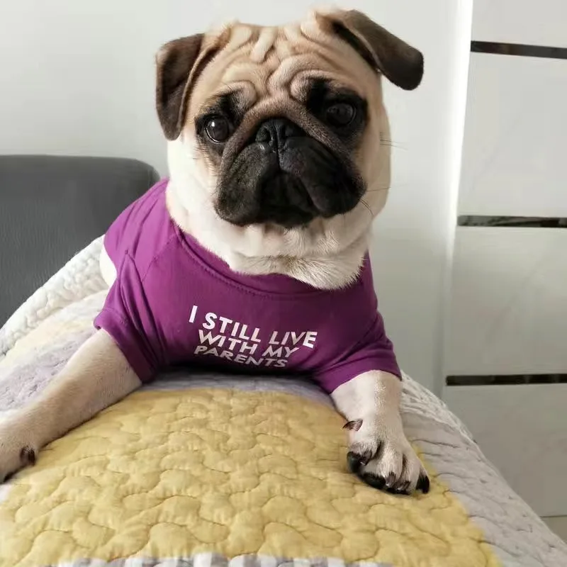 Moda Bulldog Francés Pug chaleco camisa verano ropa para perros pequeños Corgi Shiba Inu caniche mascotas ropa gato camiseta - imagen 3