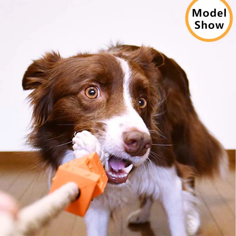 Juguete interactivo para masticar perros medianos y grandes, cuerda de algodón, juguete Molar para mascotas, entrenamiento para actividades al aire libre - imagen 4