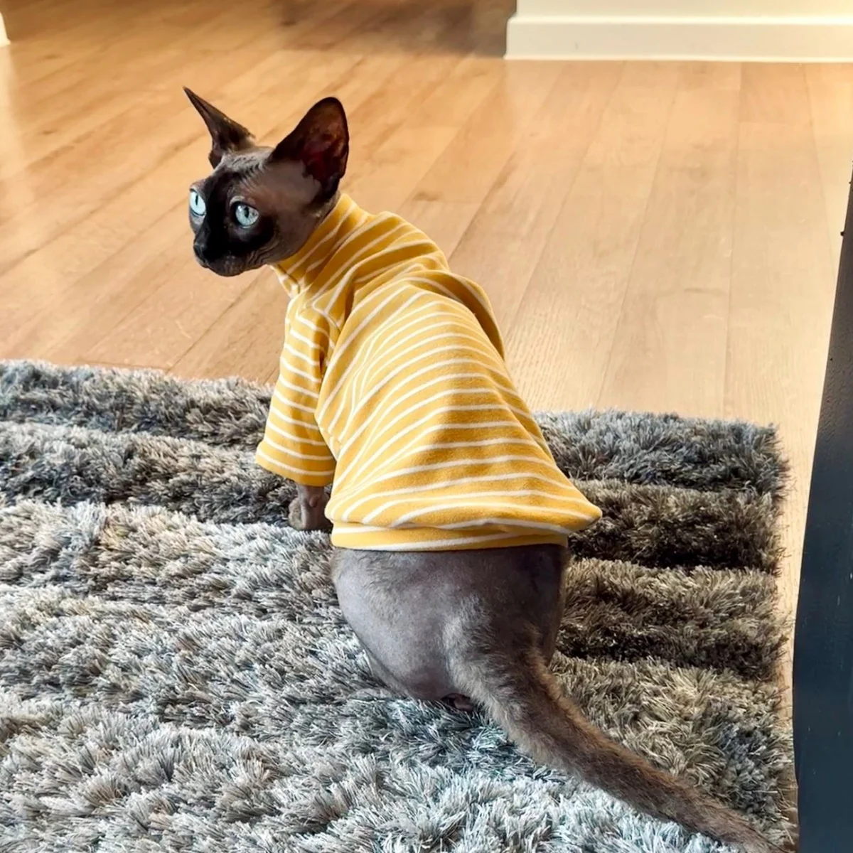Camiseta interior de rayas de manga larga para gatitos en otoño Abrigo de algodón cálido y grueso para gato sin pelo Mono suave para Devon Rex en invierno Sudadera suave para gato esfinge en primavera - imagen 2
