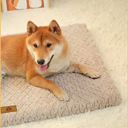 Alfombra de felpa corta y transpirable para perros y gatos, lavable
